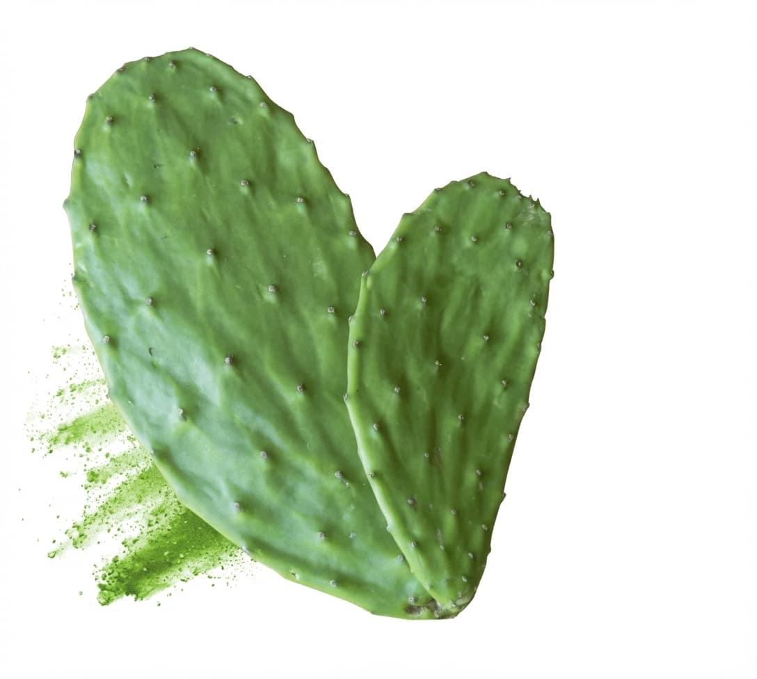 NeOpuntia™
